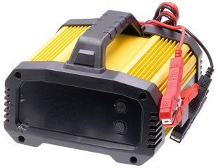 Импульсное зарядное устройство E-Fast TK-2500 12V25A 24V15A ins587 фото
